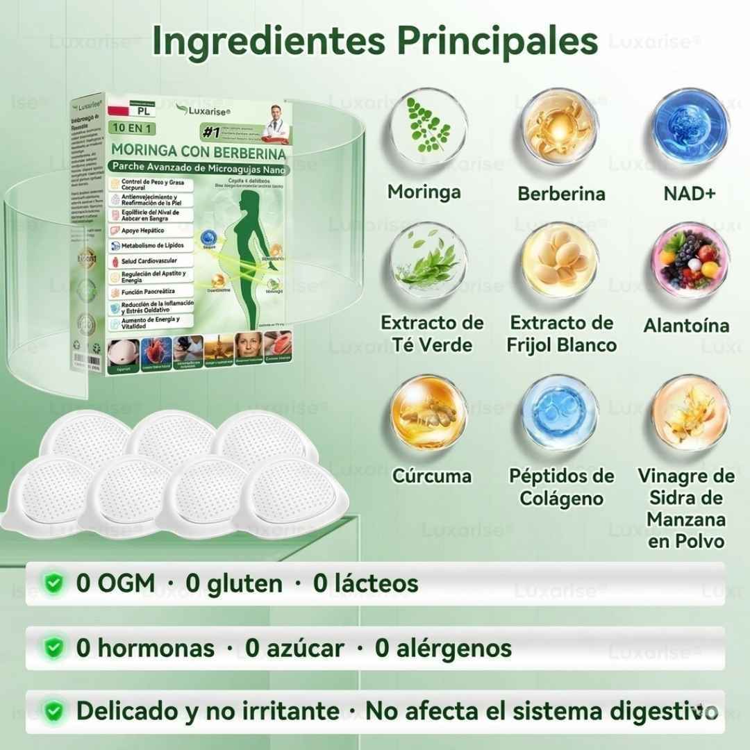 PARCHES AVANZADOS NATURALES MORINGA CON BERBERINA X 30 + OBSEQUIO🎁