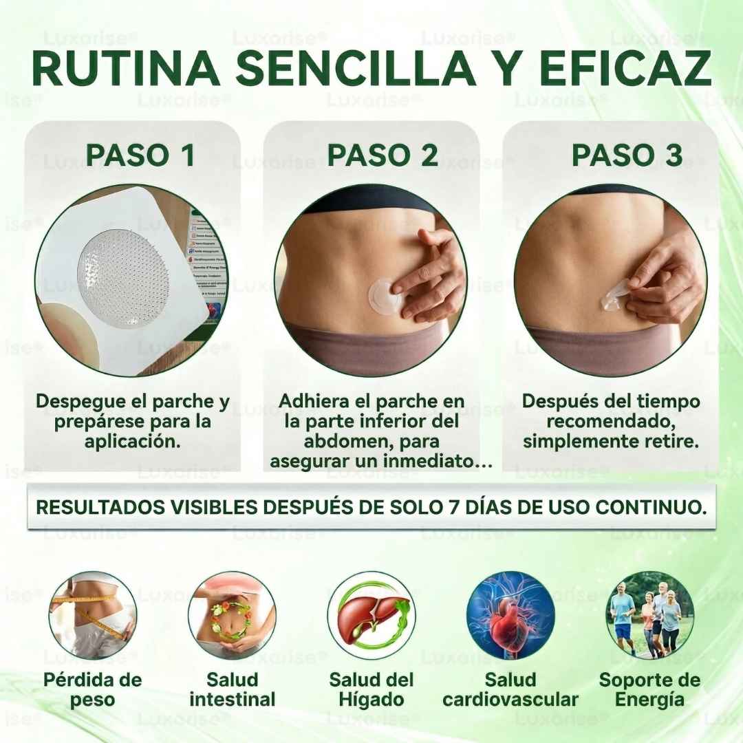 PARCHES AVANZADOS NATURALES MORINGA CON BERBERINA X 30 + OBSEQUIO🎁