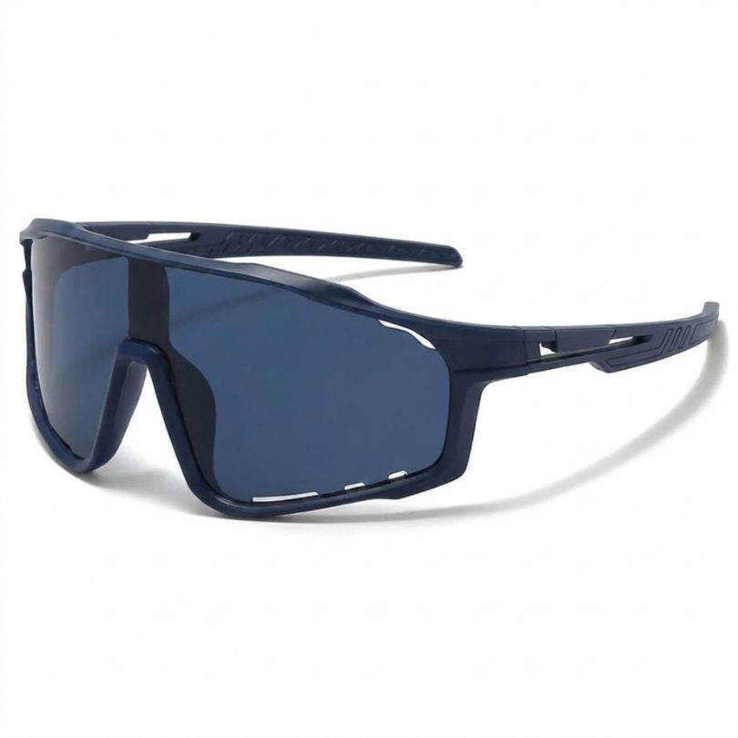 Gafas Fotocromaticas Rockbros Sp216