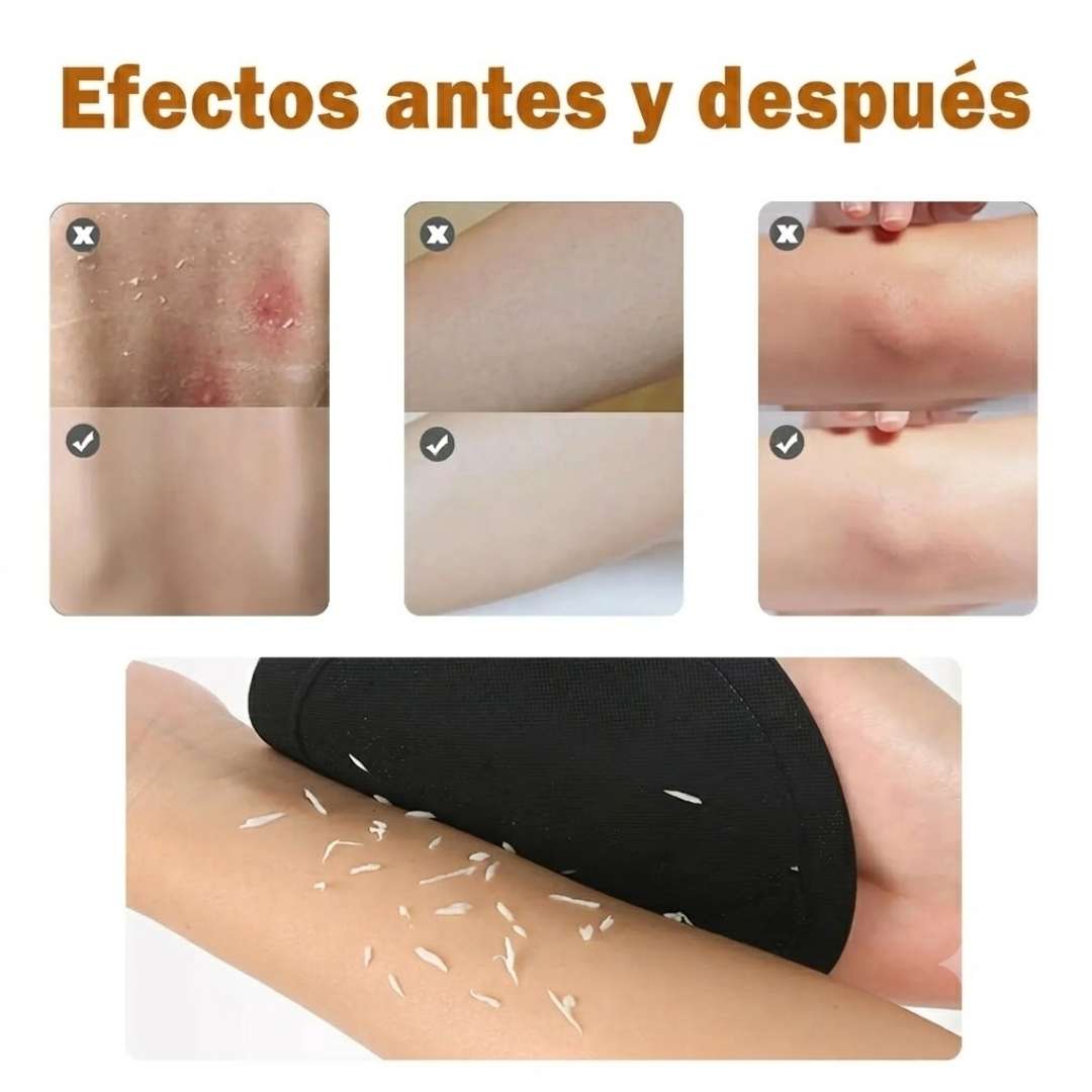 Encabezado