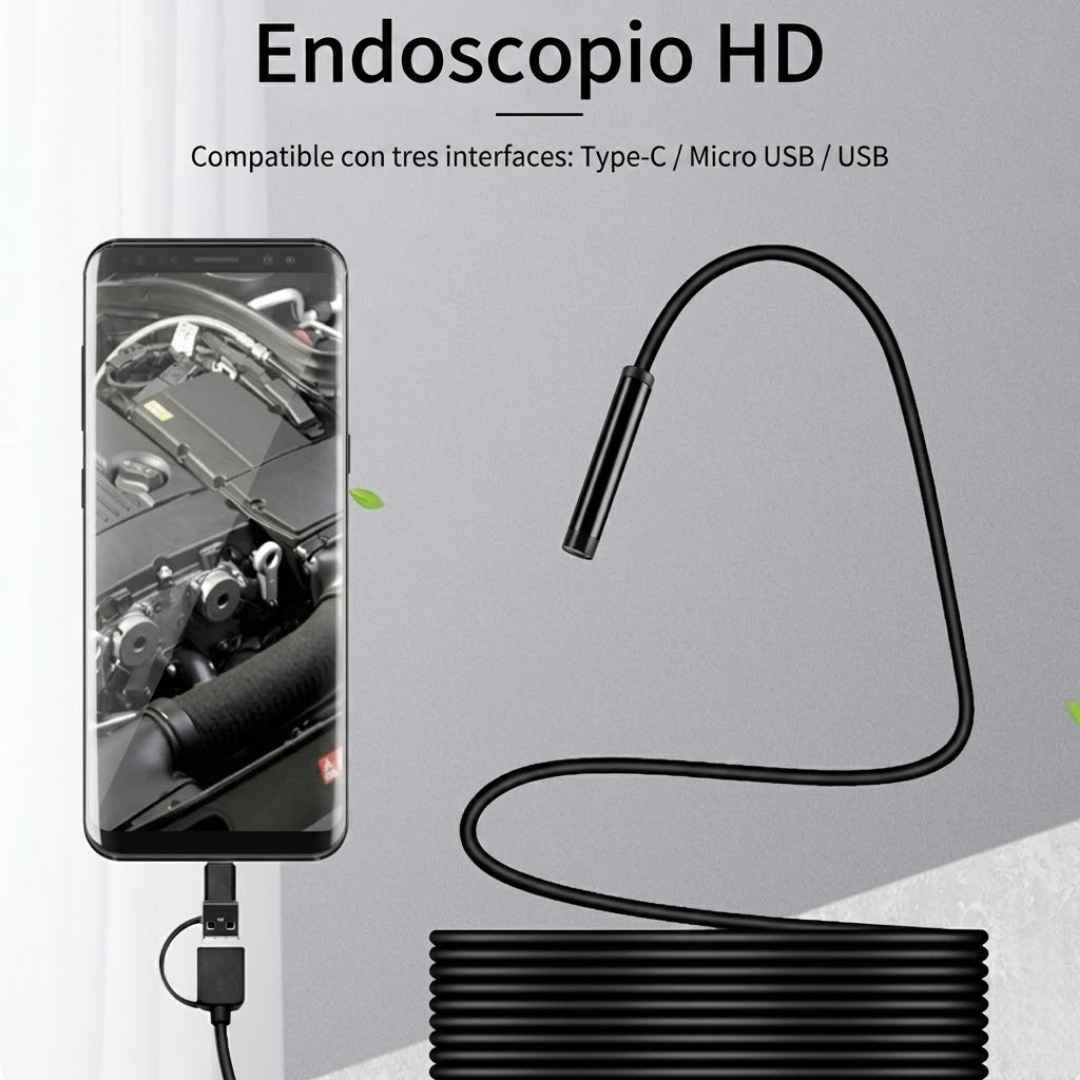 camara endoscopia