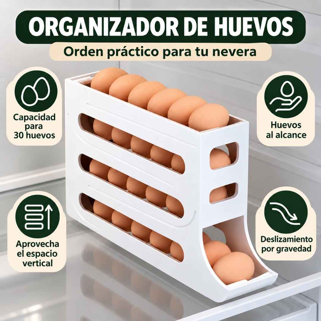 Encabezado