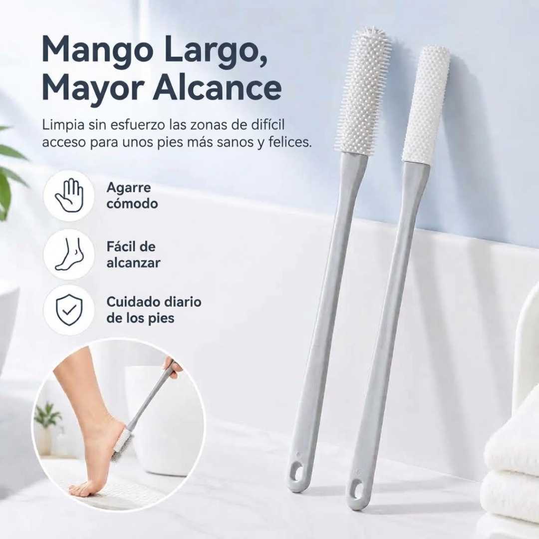 Encabezado