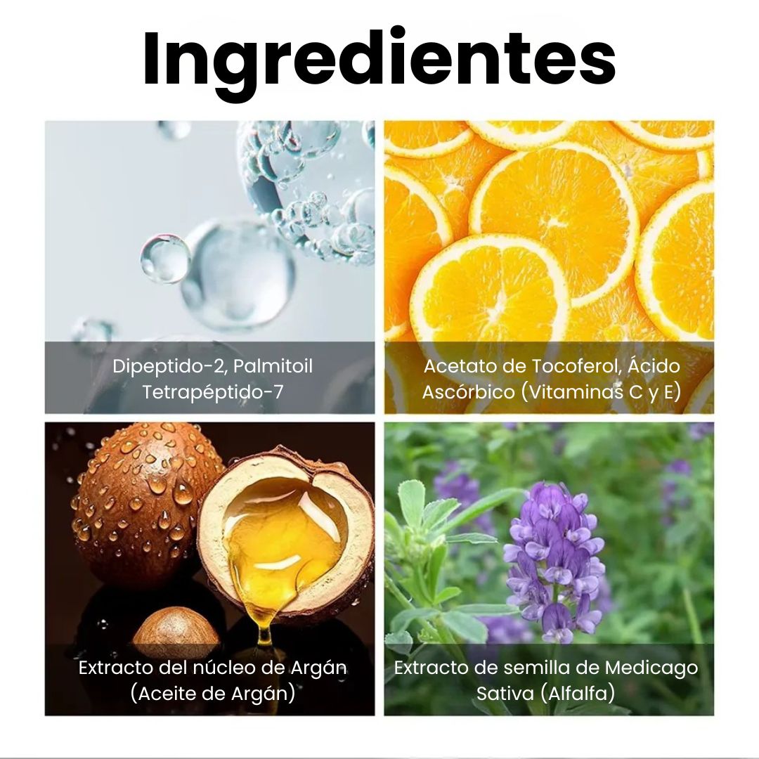 Encabezado