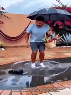 Encabezado
