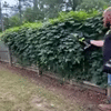 Mini Motosierra Inalámbrica (15 cm): Arregla tu Finca o Jardín en Minutos, Sin Hacer Fuerza y Sin Enredos.
