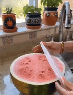 Encabezado