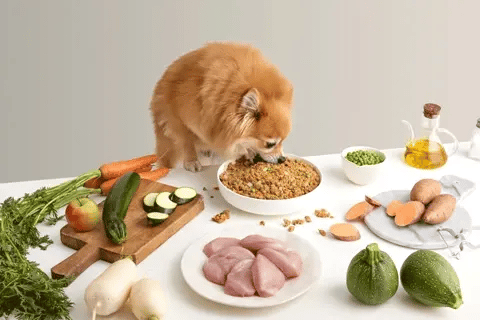 Encabezado