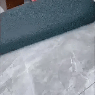 Encabezado