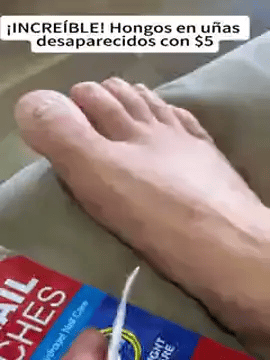 Encabezado